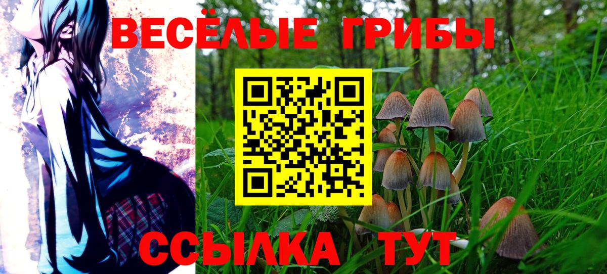 Галлюциногенные грибы Psilocybe Артём
